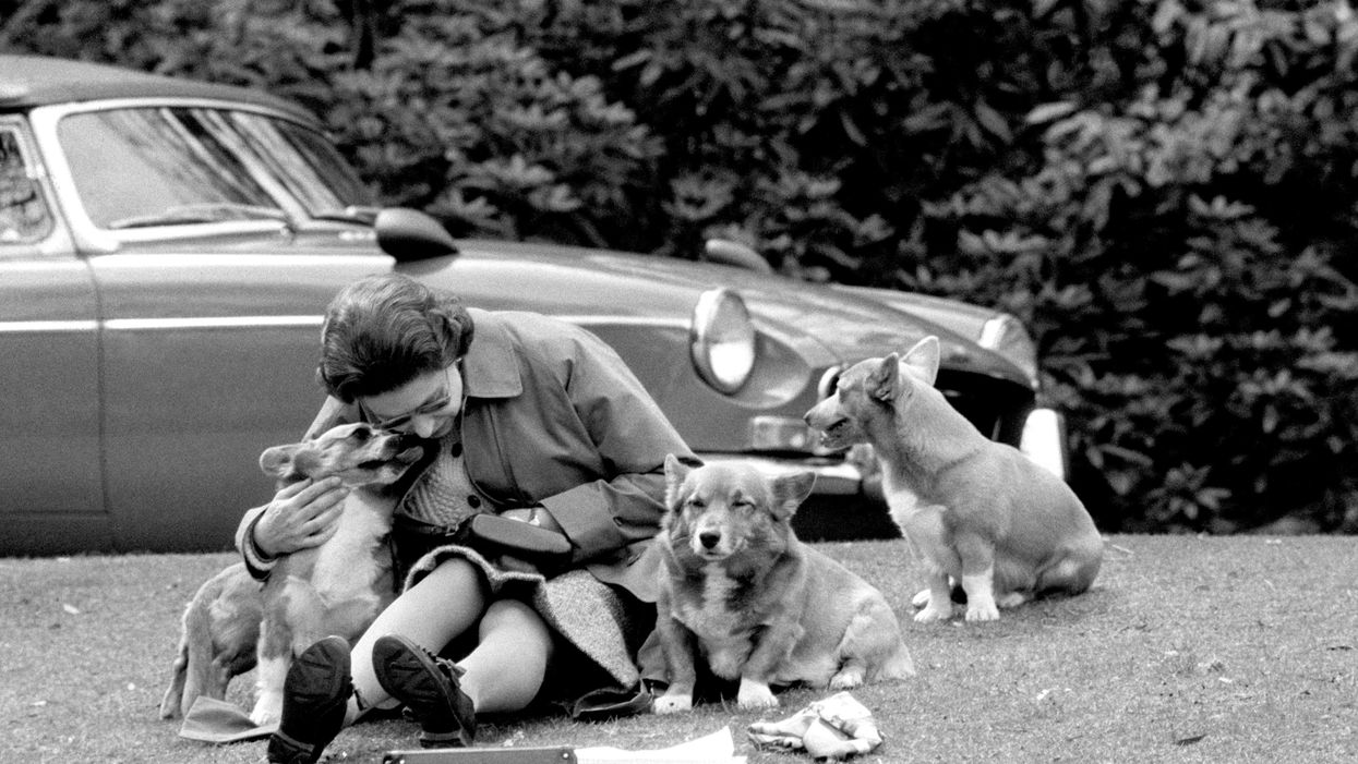 The Queen with corgis