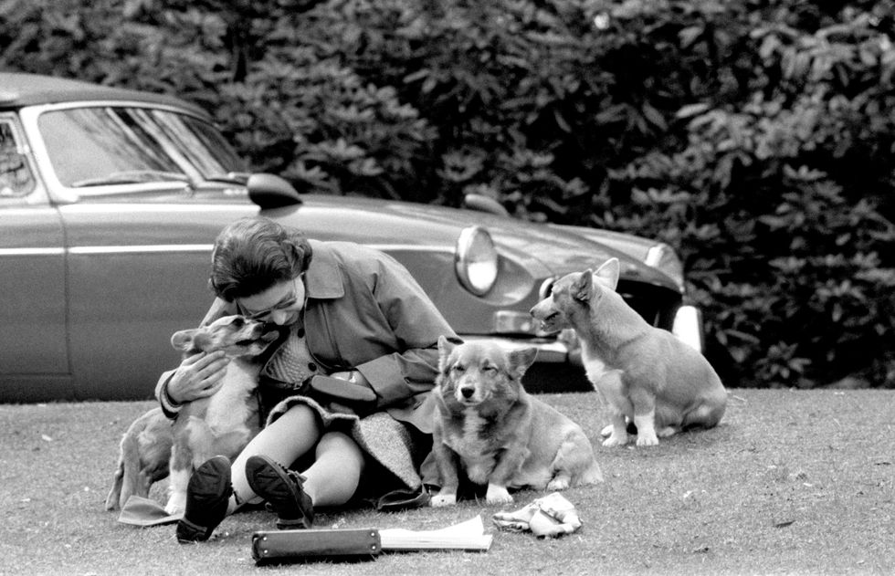 The Queen with corgis
