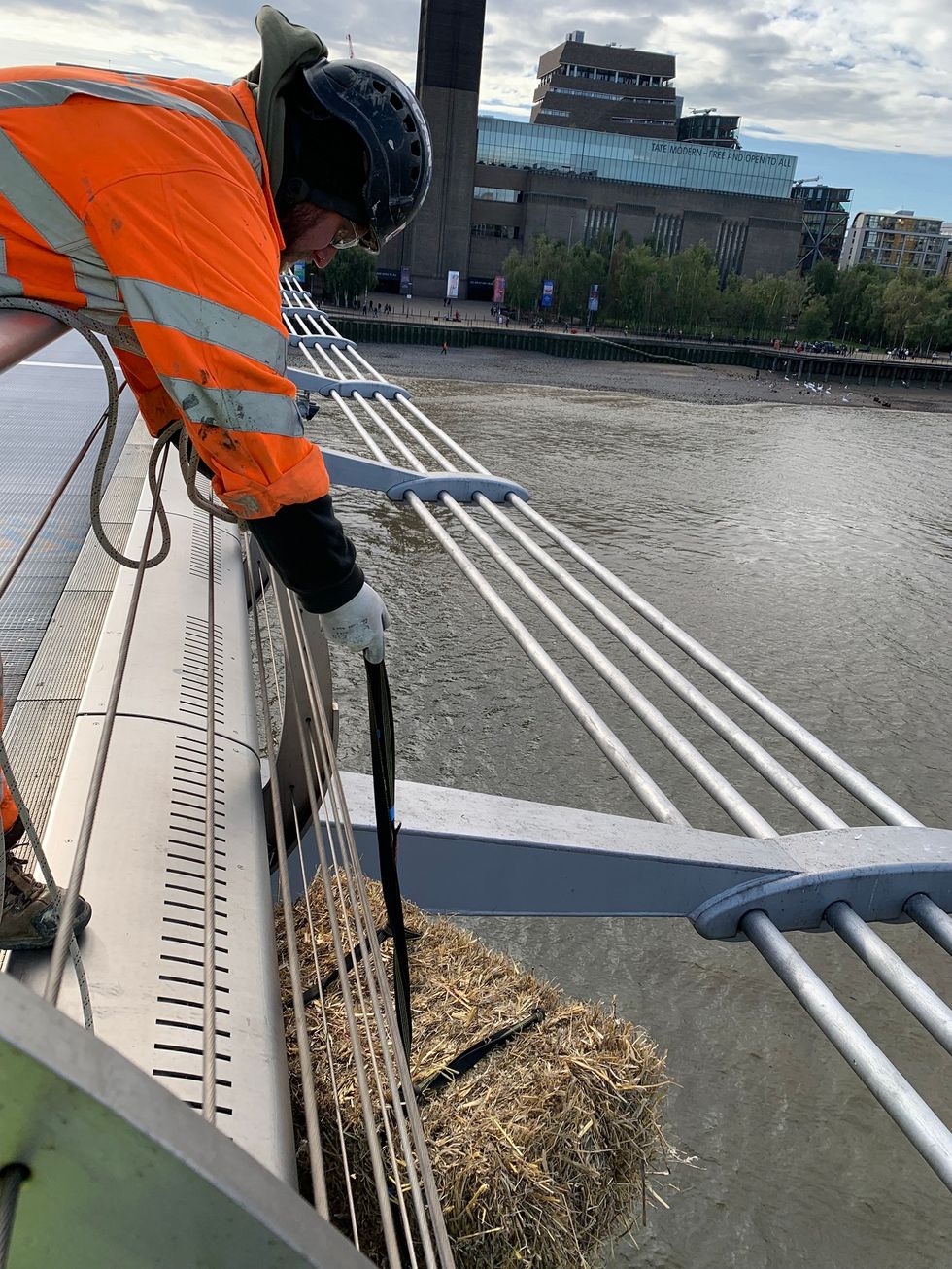 The 'quirky' tradition is down to the Port of London\u2019s Thames Byelaws