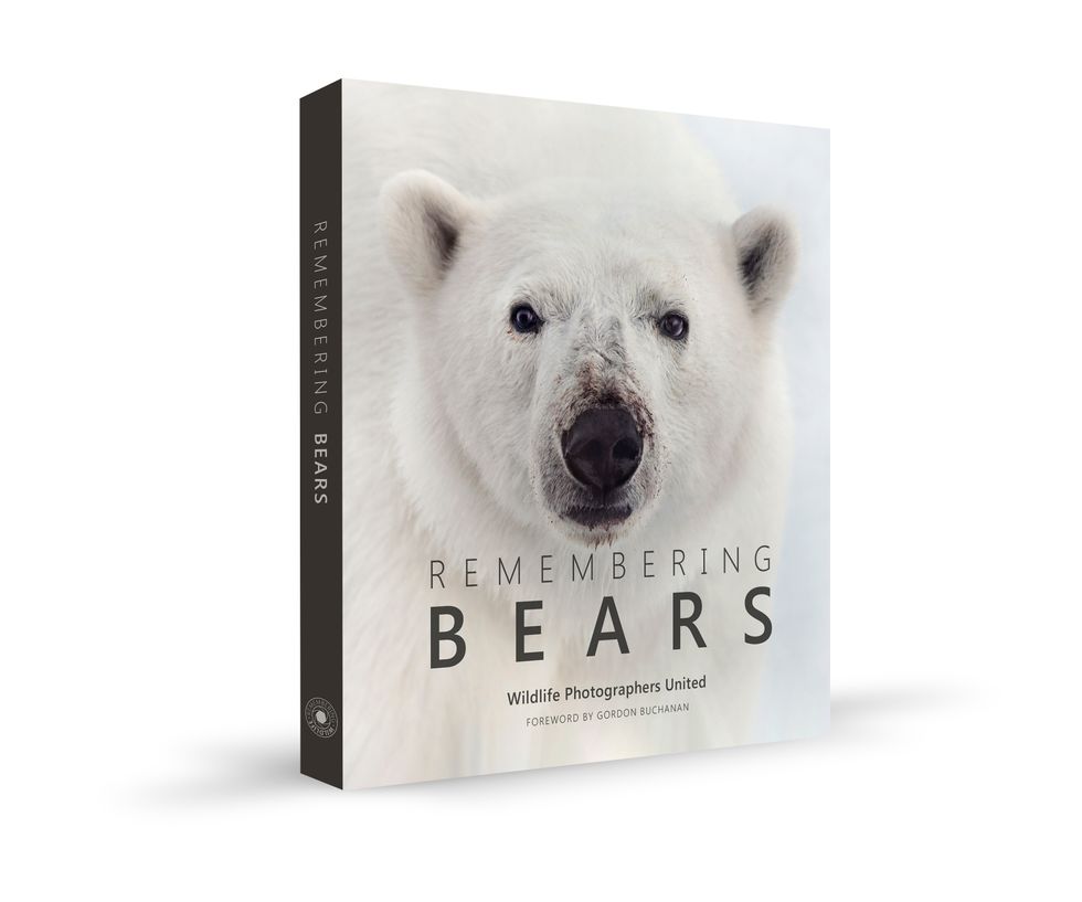 Fundraising appeal for wildlife bear book is a hit with animal lovers