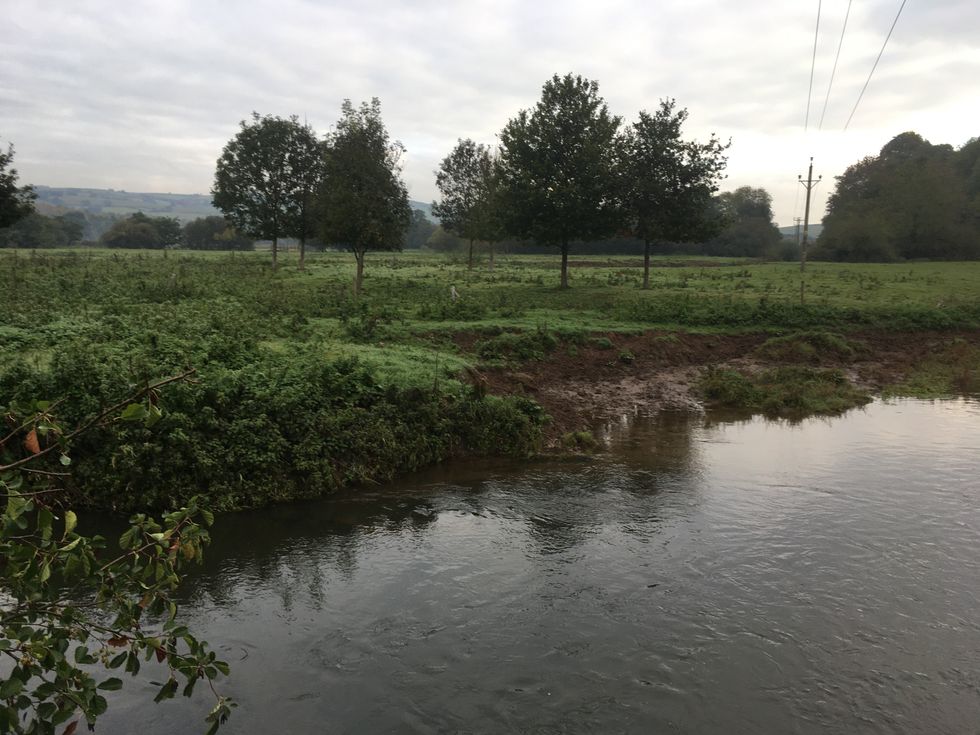 The River Culm will be reconnected with its foodplain as part of the project (Paul Hawkins/National Trust/PA)