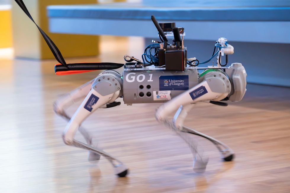 AI-powered robot guide dogs developed for visually impaired