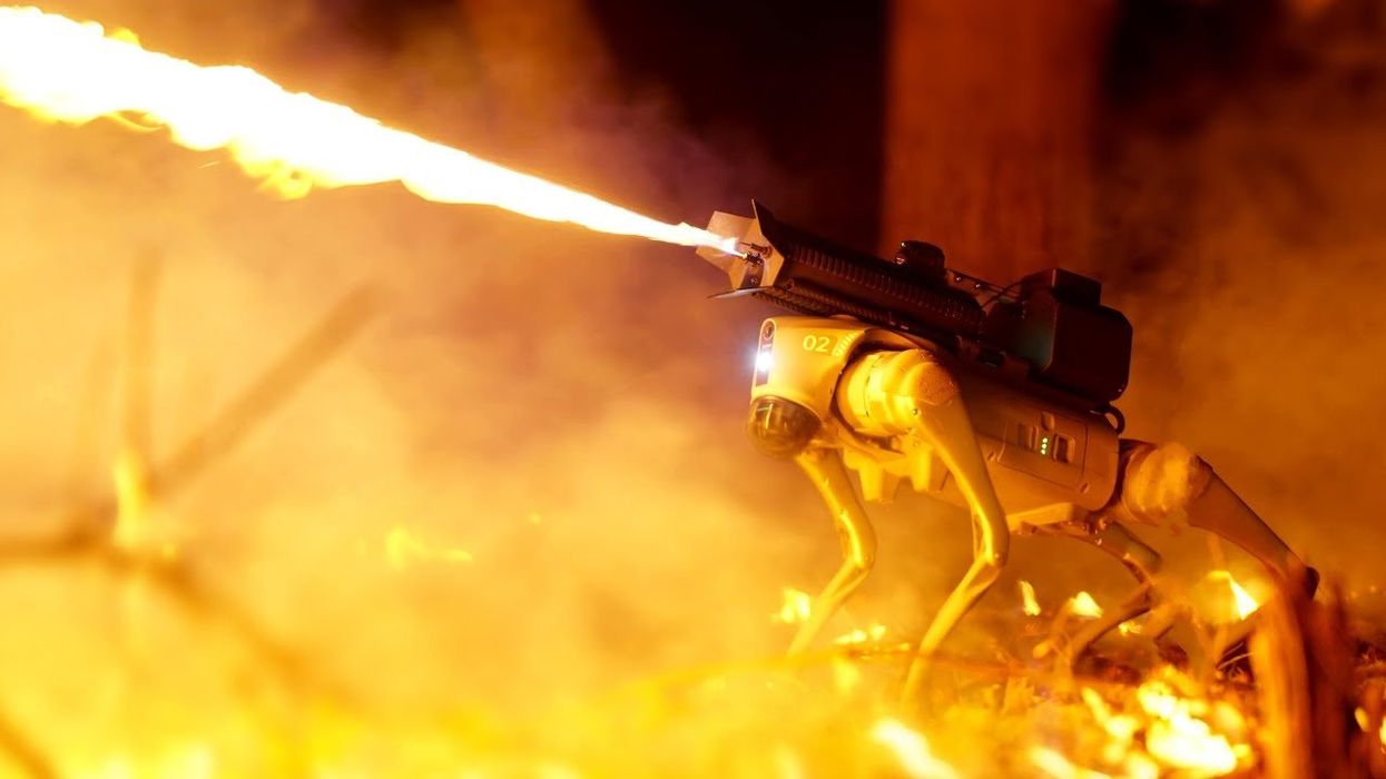 'Thermonator' robot dog with flame thrower attached goes on sale