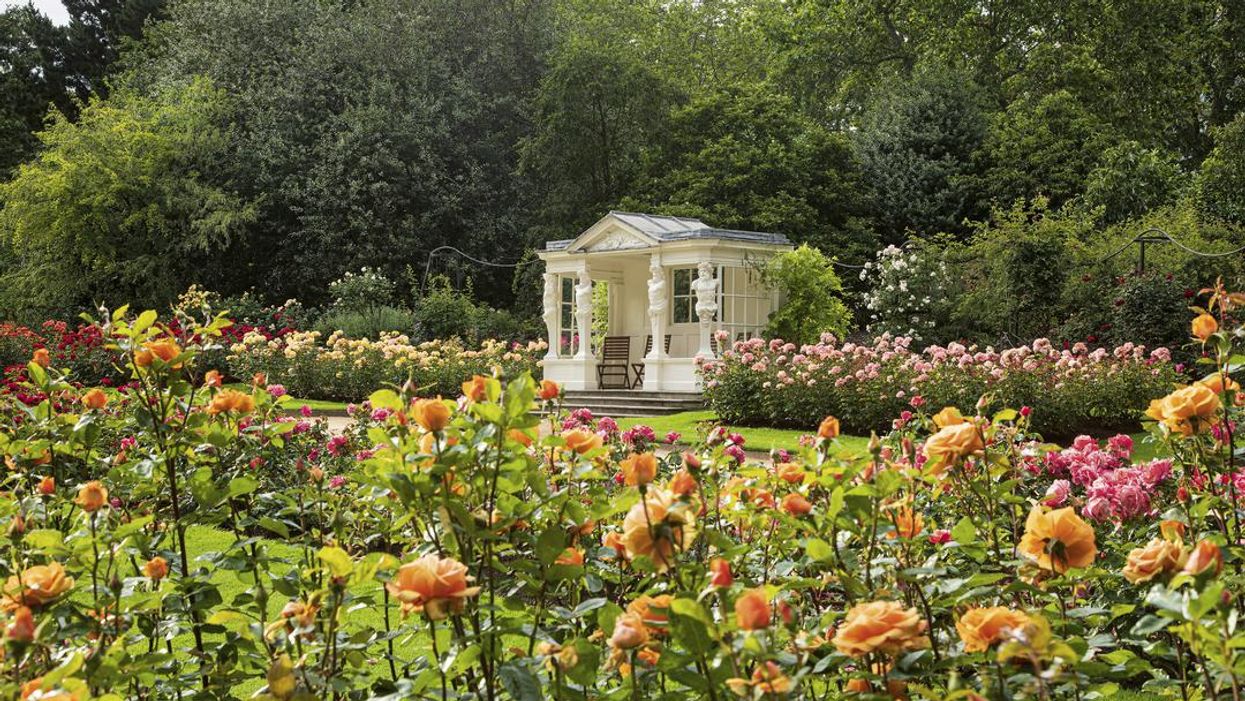The Rose Garden at Buckingham Palace