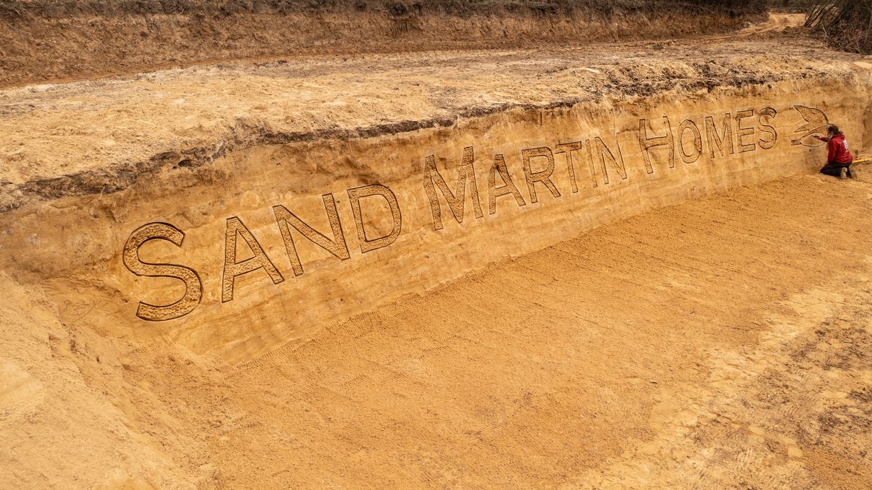The sand martin sand sculpture