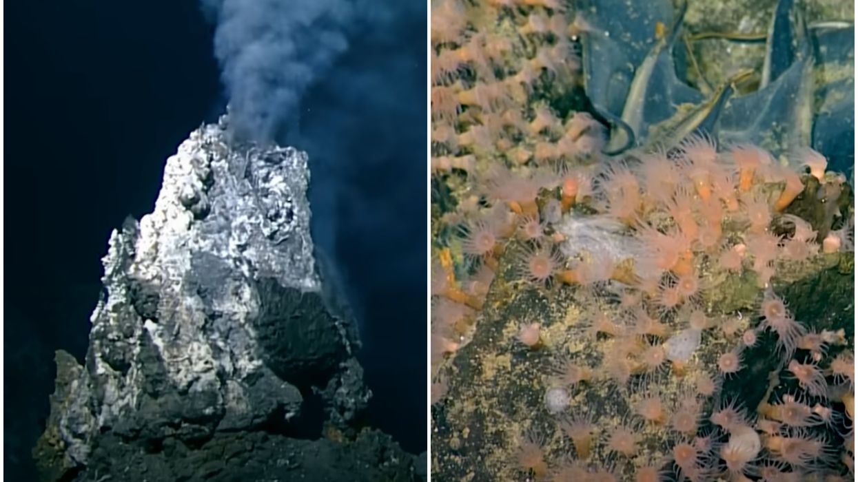 Scientists left 'speechless' after discovering ancient volcano is still active — and covered in giant eggs