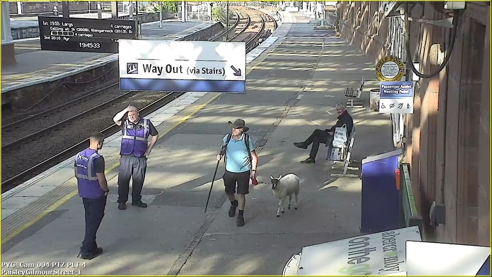 Man spotted walking sheep on lead through station