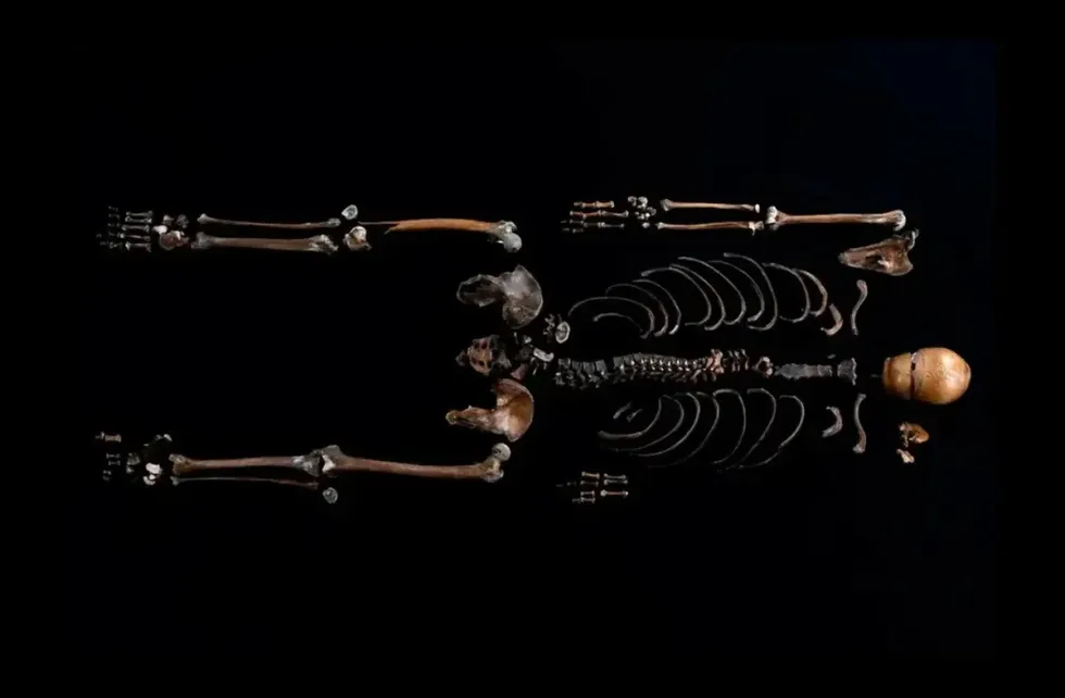 The skeleton found in a well after being chucked out from a castle in Norway in 1197