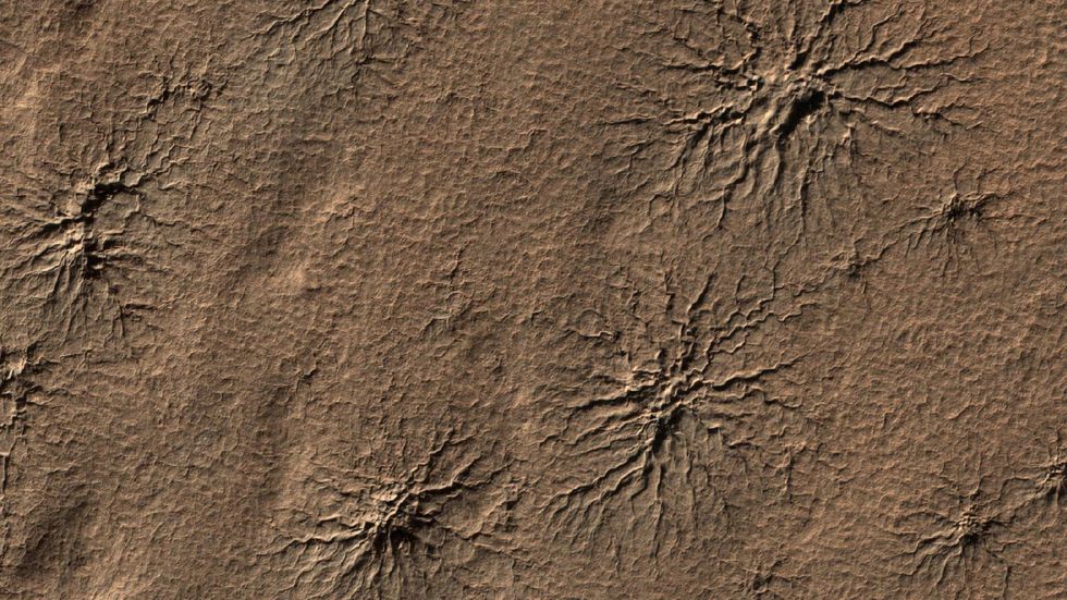 The 'spiders' seen on the surface of Mars