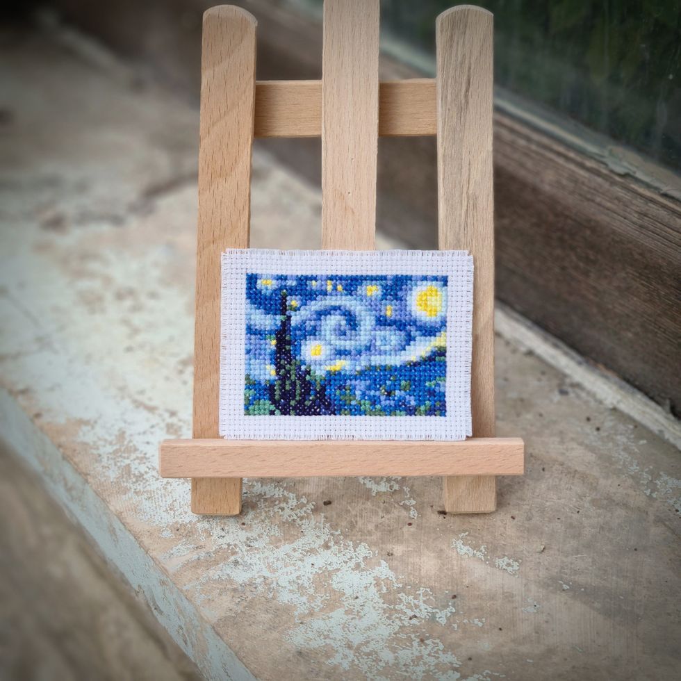 The Starry Night (Elcin Ozcan/PA).