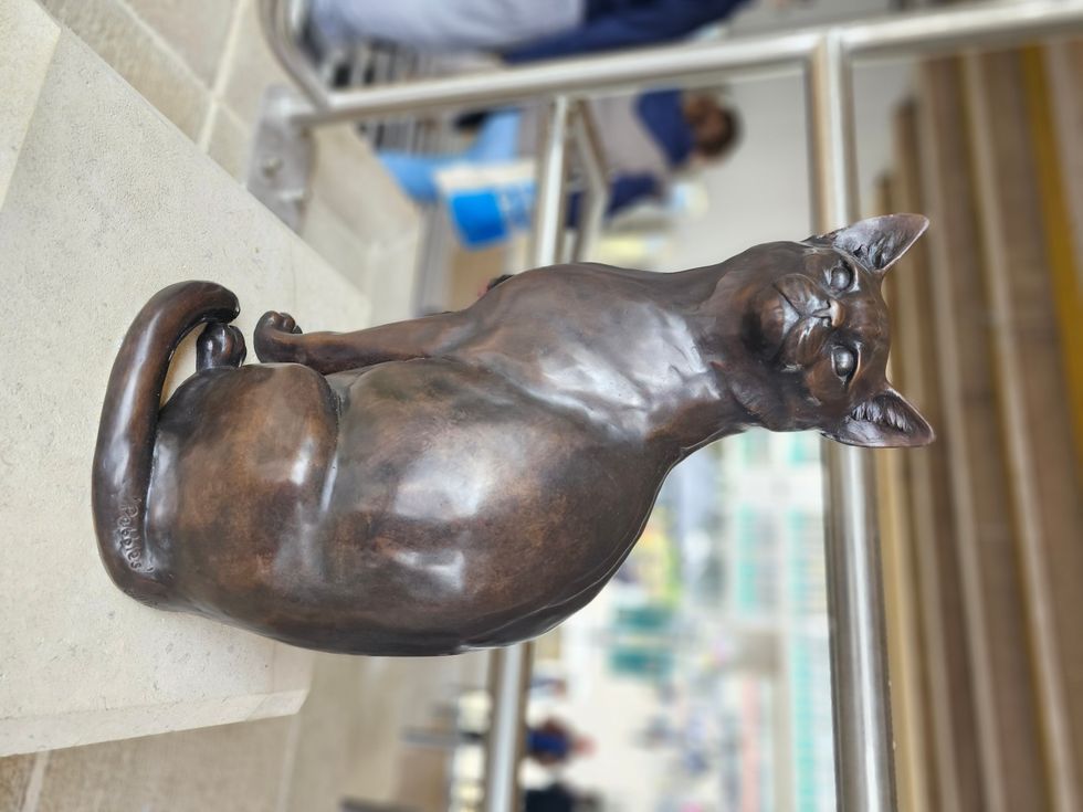 The statue of Pebbles the cat on campus at the University of Essex in Colchester. (University of Essex/ PA)