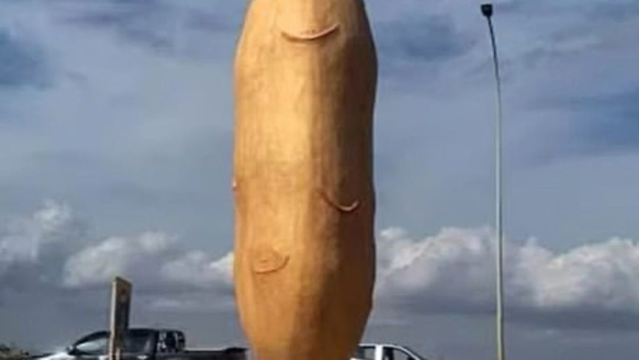 <p>The statue was built to honour the “spunta”, an abnormally long potato</p>