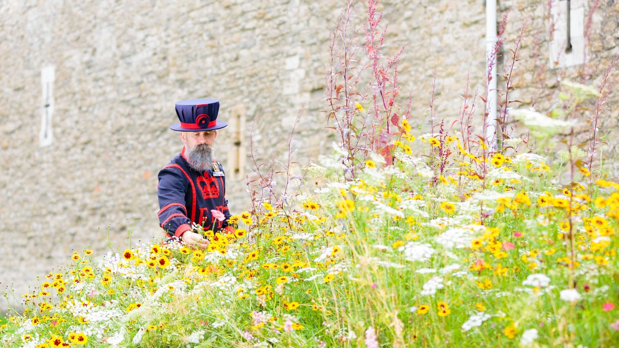 The Tower of London will be surrounded by flowers (Historic Royal Palaces/PA)