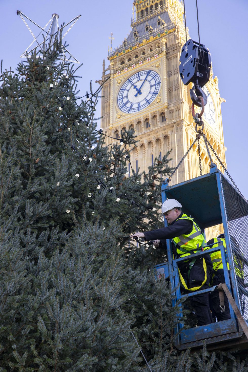 Huge 40ft Parliament Christmas tree put up to mark festive season