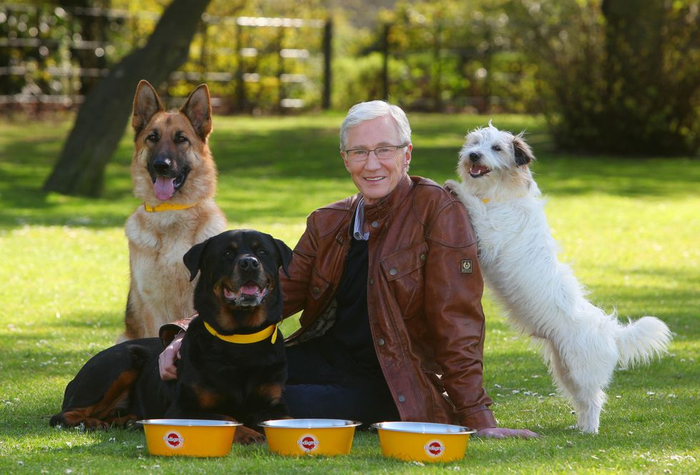 Donations to Battersea Dogs and Cats Home pass £100,000 after Paul O’Grady death