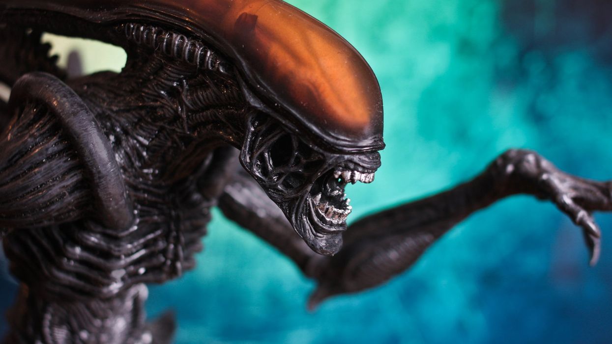 The UK public has chosen humanity’s best hope against alien invaders