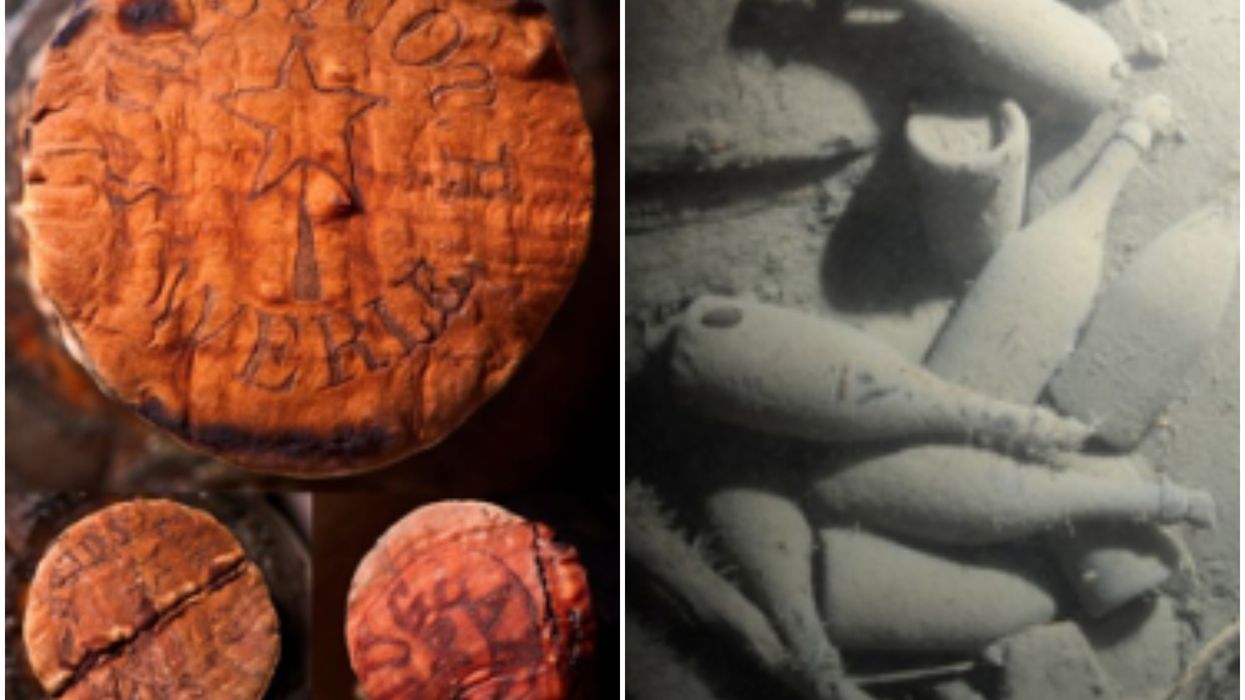 Experts find 170-year-old champagne found at the bottom of the sea and drank it