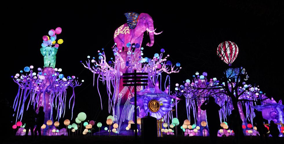 Enchanting display of colour at Dublin Zoo for Wild Lights spectacular