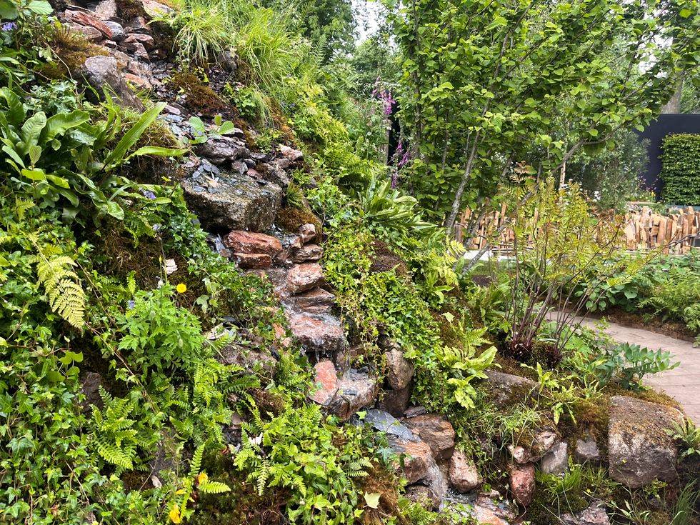 The Wildlife Trusts' garden at the RHS Chelsea Flower Show