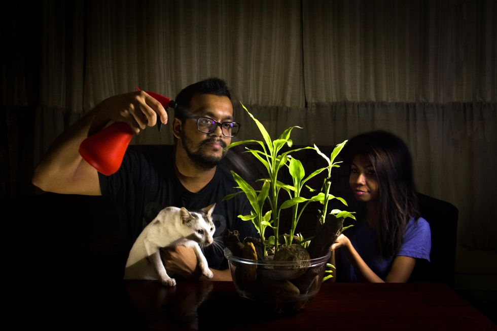 The winning image in the new indoor gardening category titled 'time with terrarium, and taken in Colombo, Sri Lanka (Weerasinghe Tilan/RHS/PA