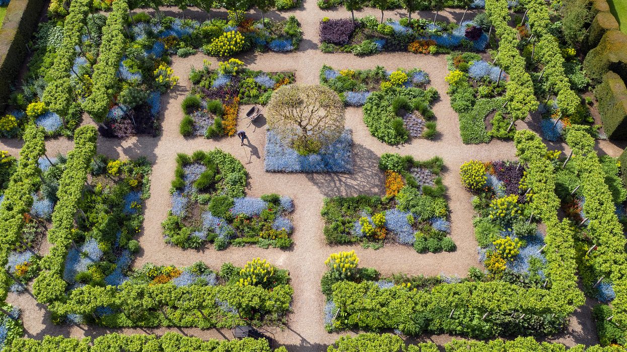 The winning image of Loseley Park Gardens