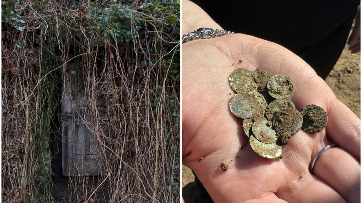 Woman stumbles upon priceless treasure while out on a woodland stroll