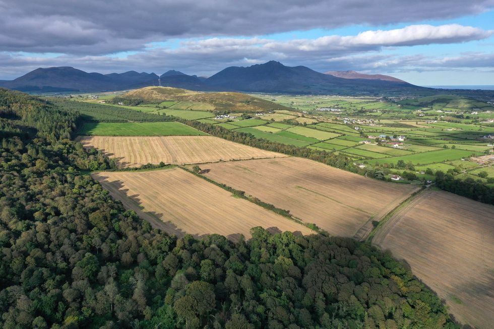 Ancient woodland opened to public after 500 years indy100
