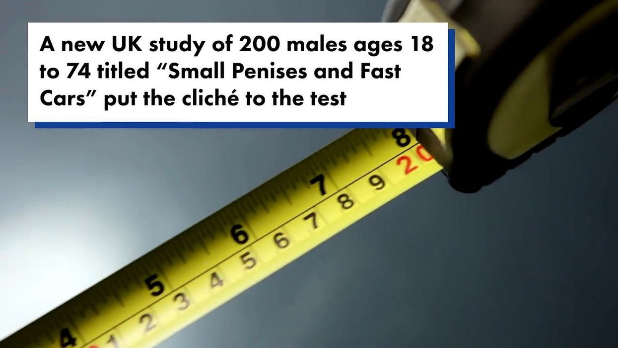 Average penis length has grown by 24% in recent years - but it might not be good news