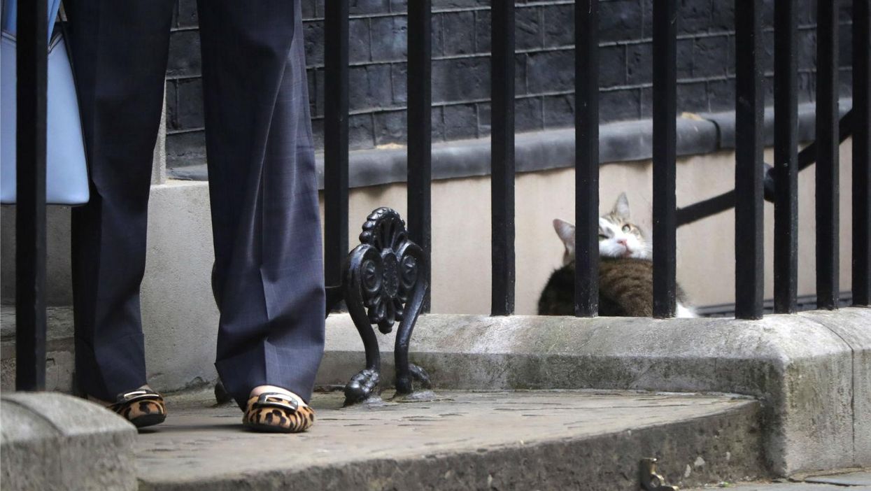 Theresa May and Larry the Cat outside Number 10. Picture: Christopher Furlong/Getty Images