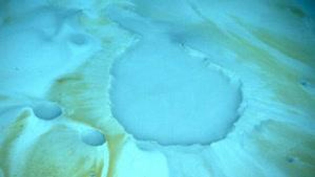 Scientists discover ‘death pool’ at the bottom of the sea which kills everything instantly