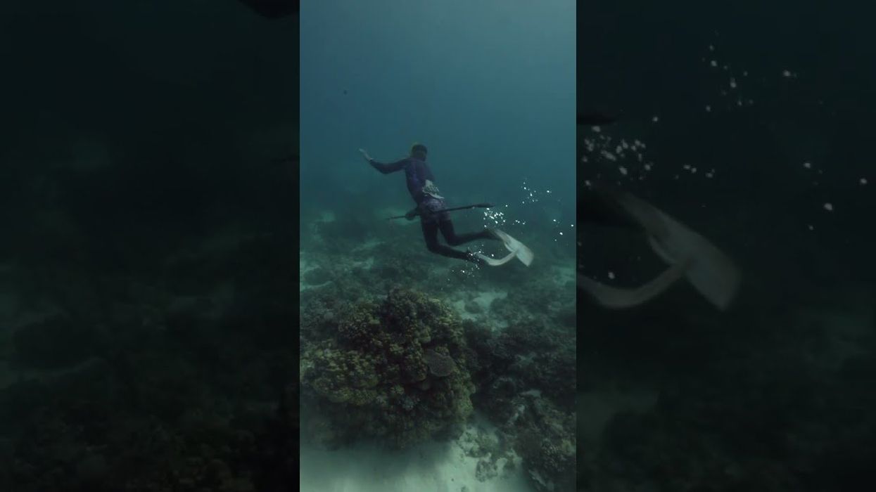 Mutated tribe can swim to bottom of ocean after developing 'sea nomad gene'