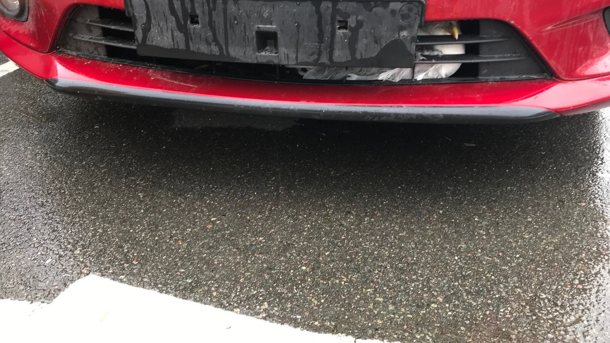 <p>This gull was trapped in the grille of a car but later released (RSPCA/PA)</p>