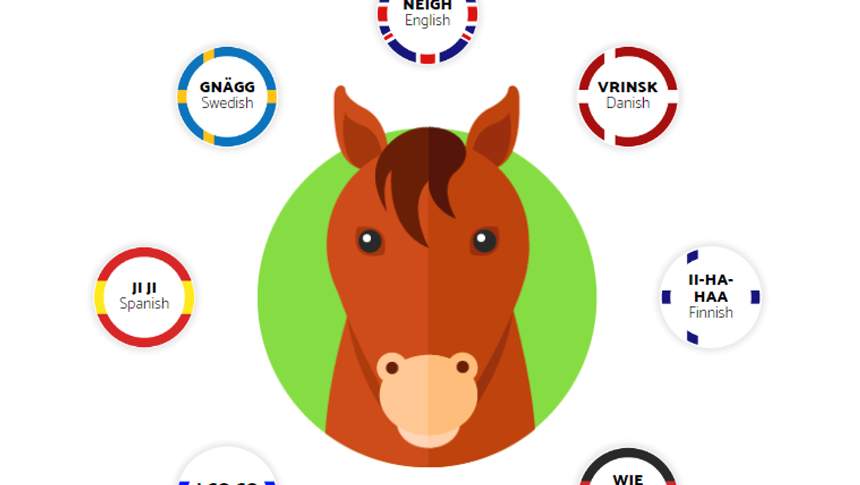 This is how animals speak in different languages