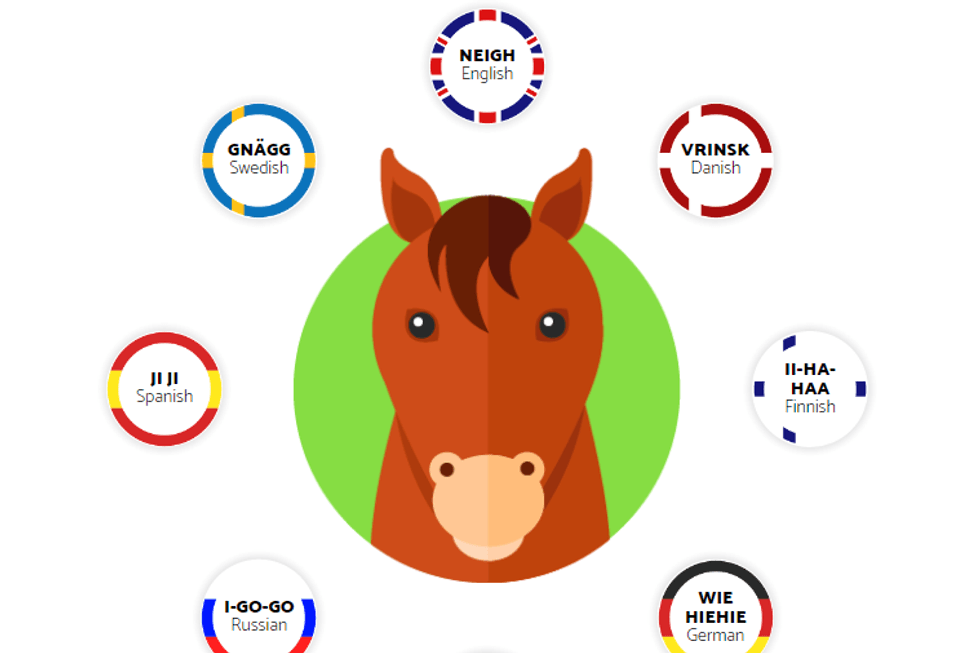 This is how animals speak in different languages