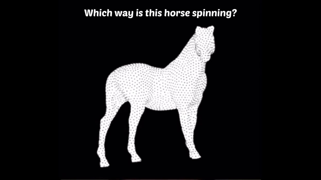 This mind bending optical illusion is what it feels like to hallucinate