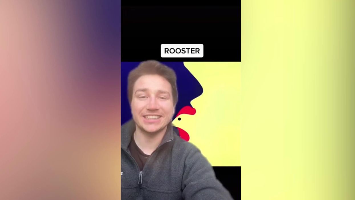 There are two hidden images in this optical illusion which reveal if you are ready for big challenges