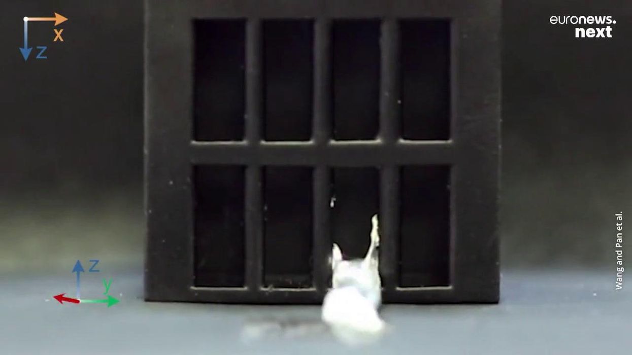 Shapeshifting 'Terminator' robots are finally here