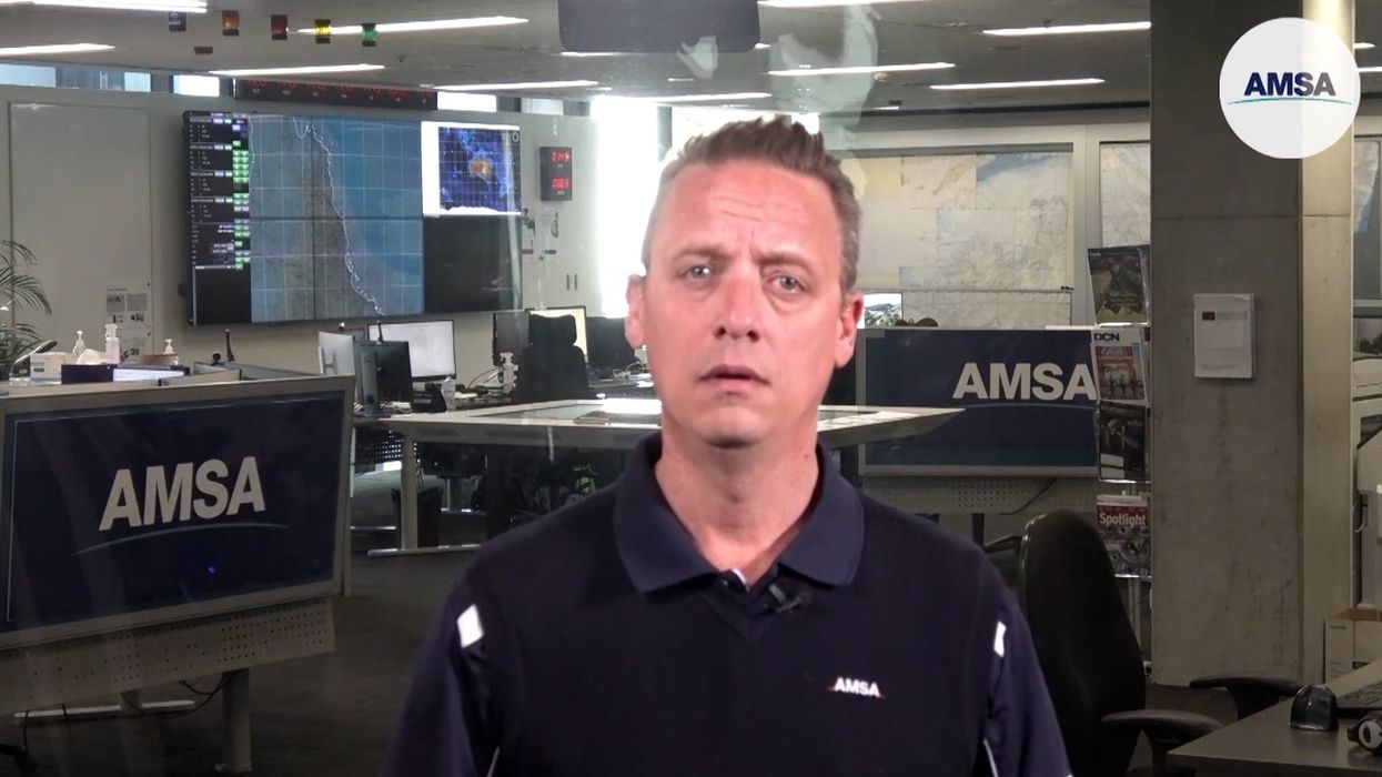 The parasite-like sharks that bite out chunks of flesh from animals