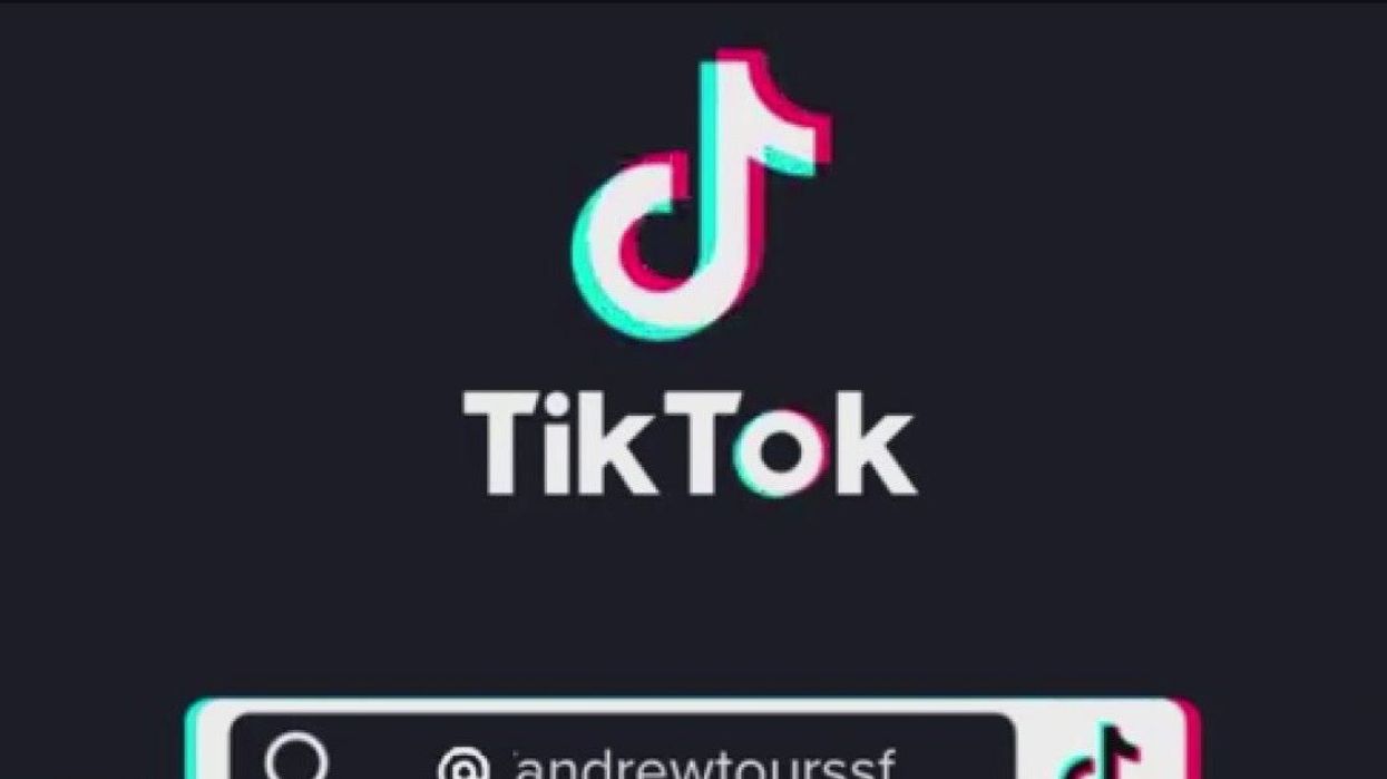 32 of the best TikTok videos ever that prove it shouldn't be banned