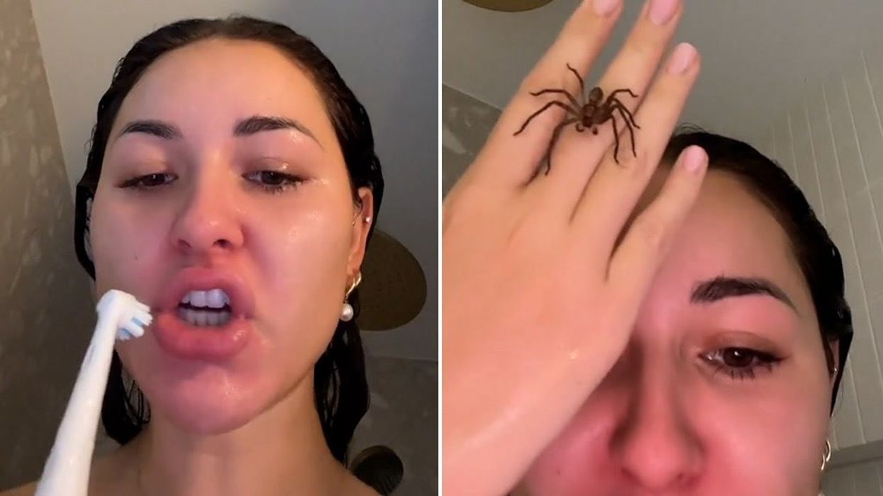 Anna Paul breaks silence after Mikaela Testa’s allegations lead to 'nearly 1M unfollows'