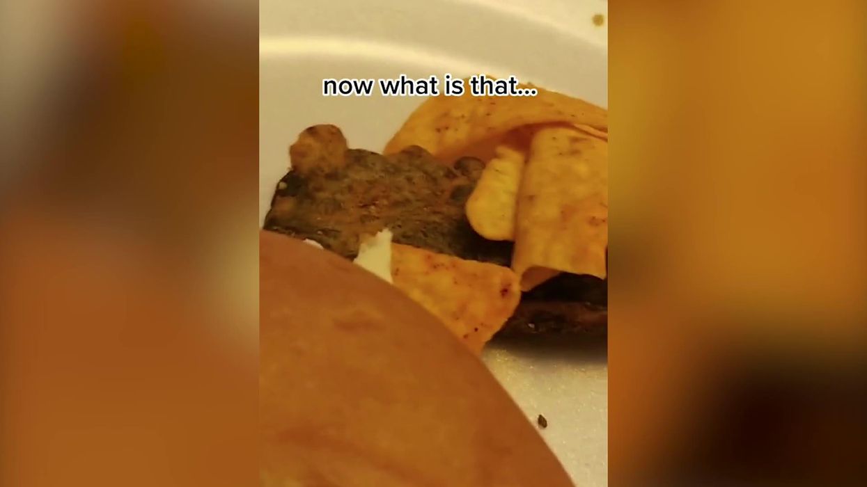 Man left haunted by Dorito chip in the shape of a dead rat: 'New phobia unlocked'