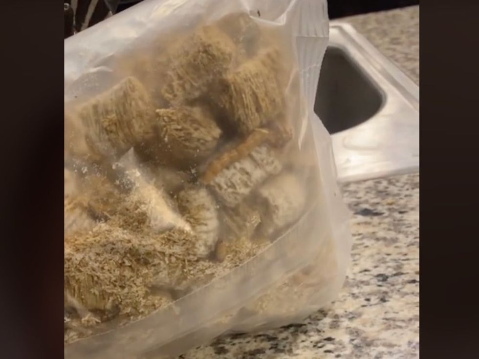 TikTok user @mbutler20014 documented the grim discovery
