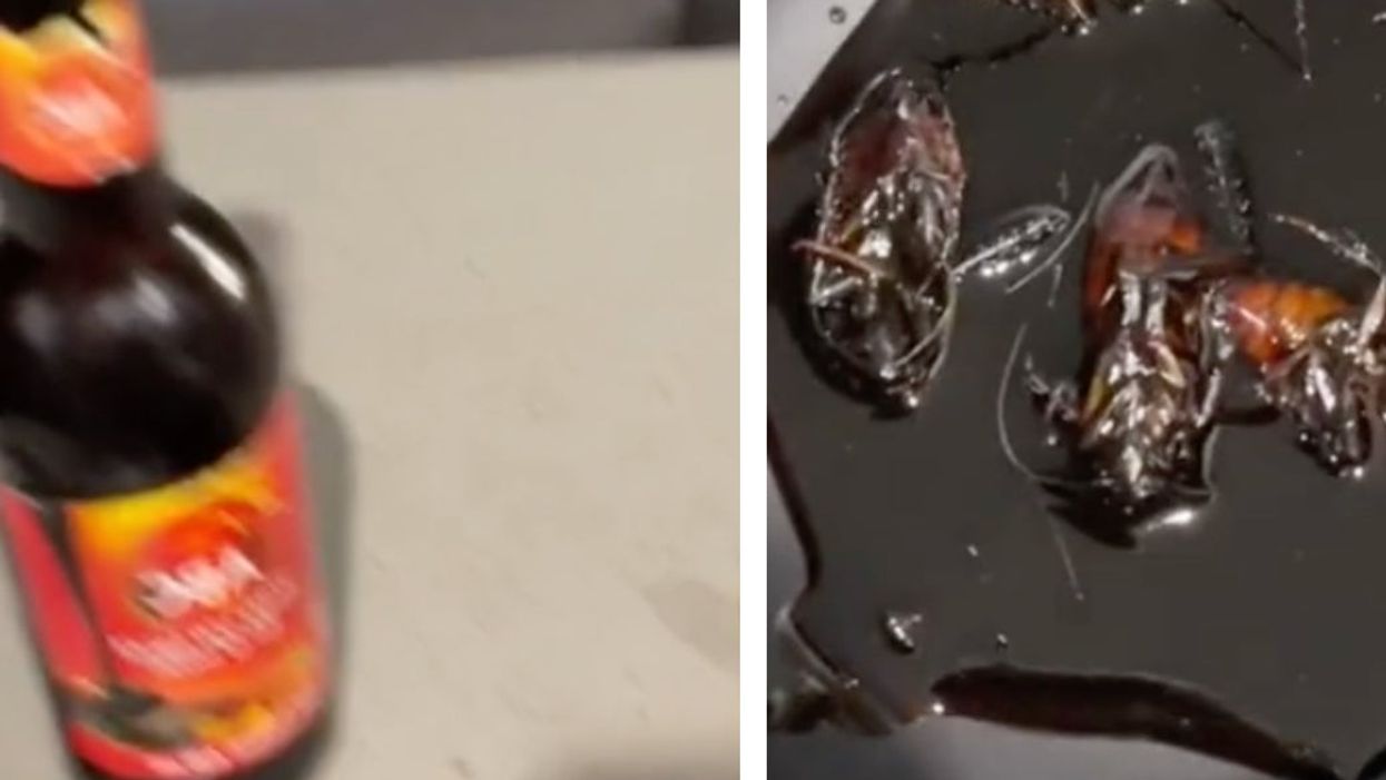 <p>TikToker allegedly finds cockroaches in her soy sauce bottle.</p>