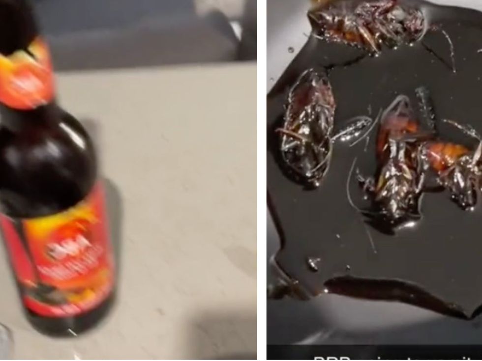 <p>TikToker allegedly finds cockroaches in her soy sauce bottle.</p>