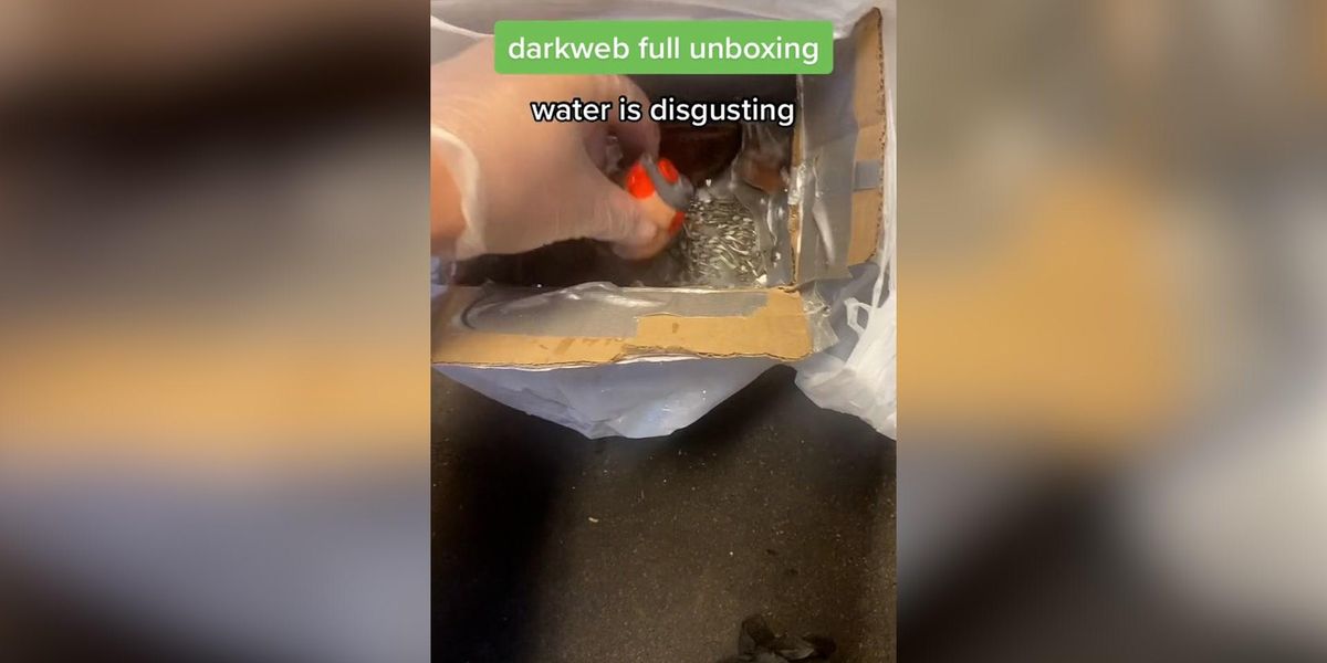 TikToker buys water from the dark web and gets something totally ...