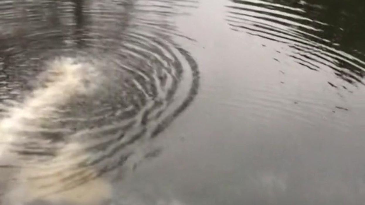 98-year-old TikTok star goes viral for her views on the afterlife