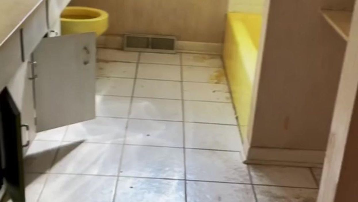 American angers Brits with tea 'tutorial' using boiled milk and two tea bags