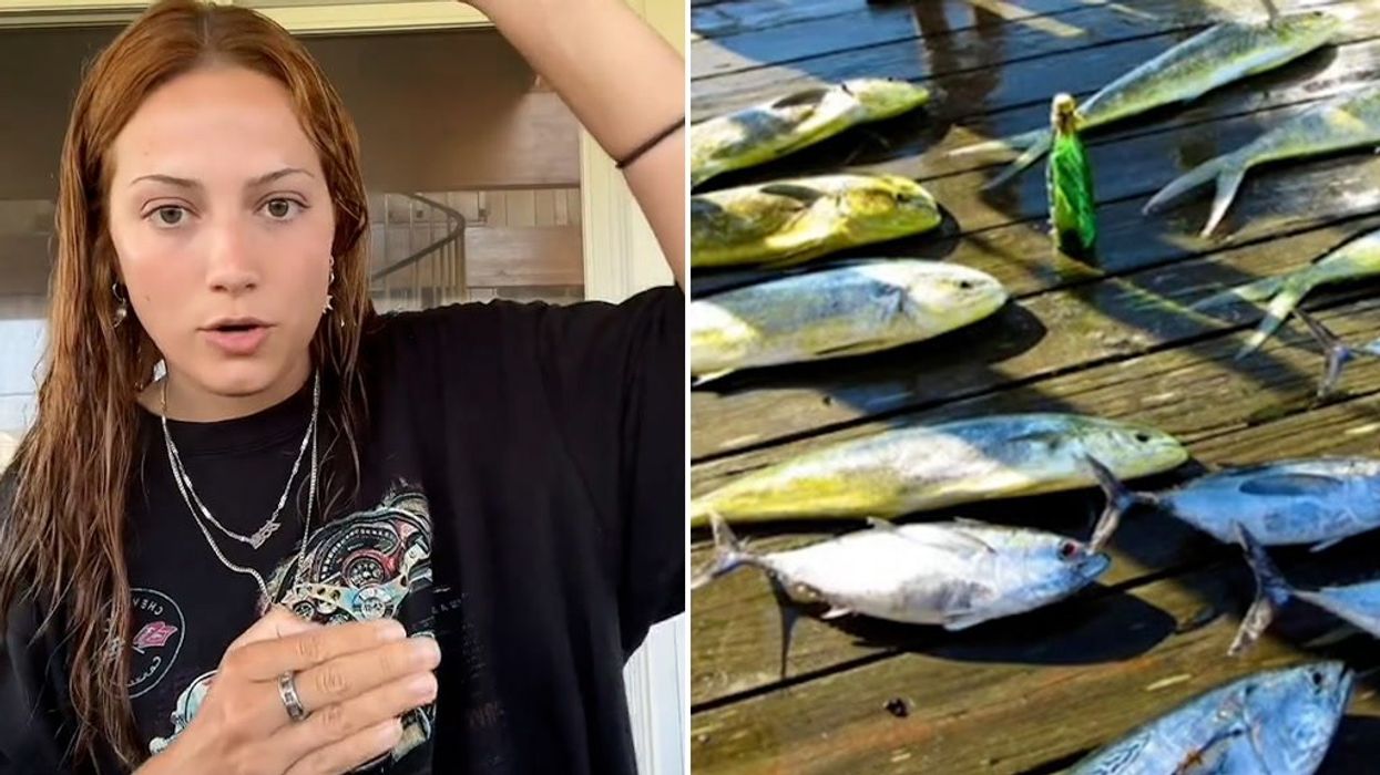 TikToker has 'storybook romance' after fisherman finds her message in a bottle
