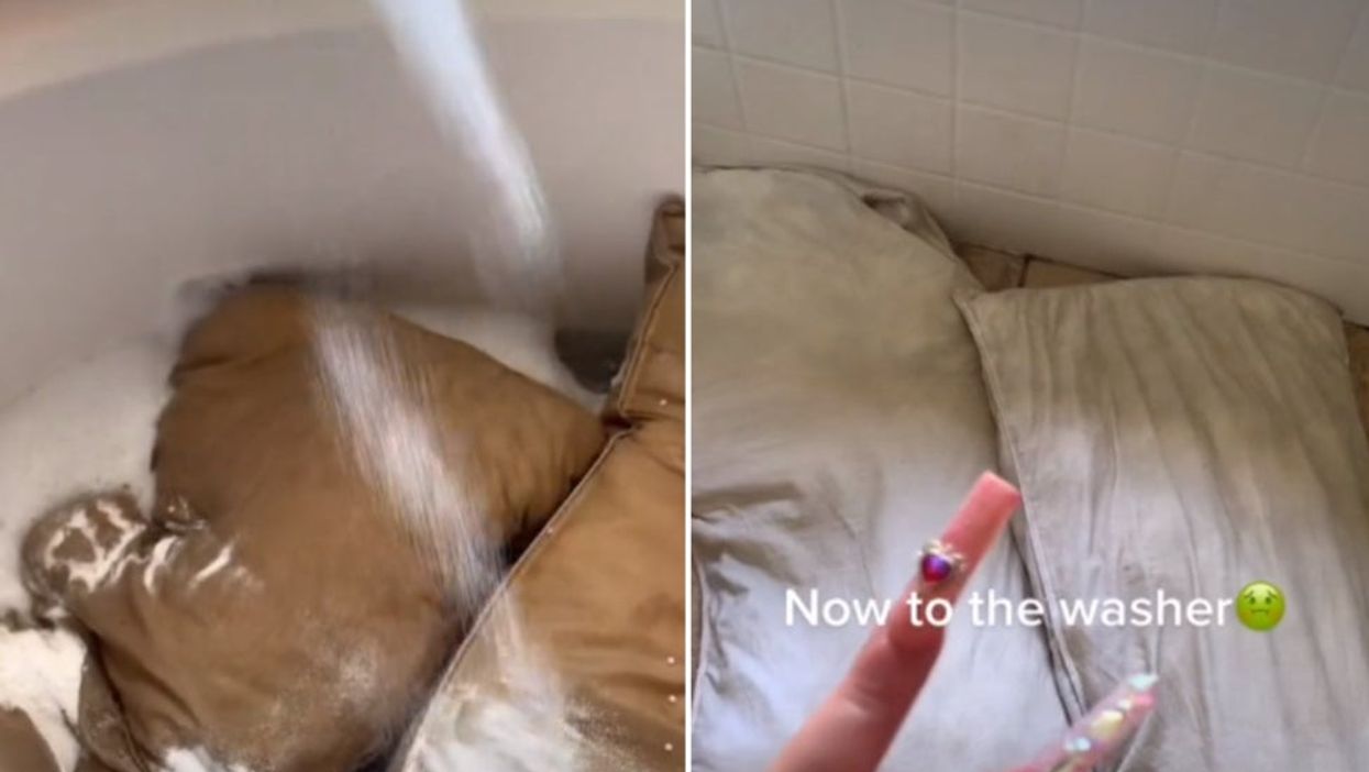 <p>TikToker Lexi revealed how her husband’s pillows have not been cleaned in five years</p>