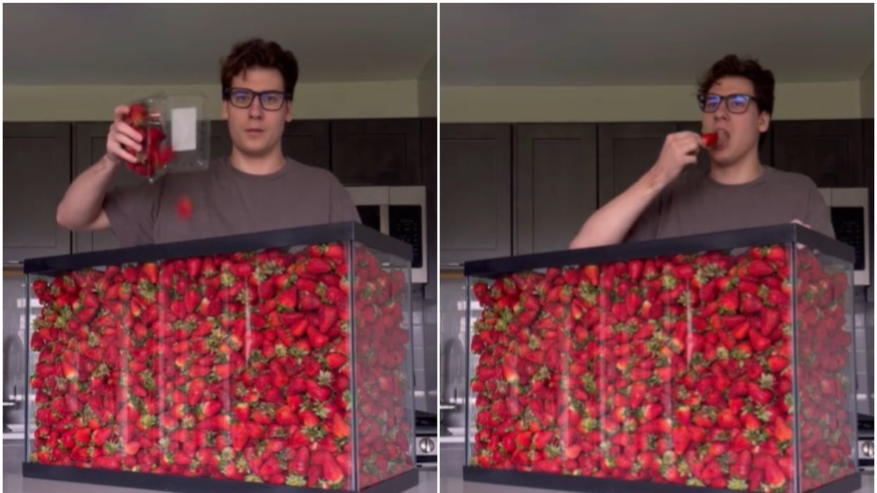 TikToker raises eyebrows after eating '100 litres' of strawberries